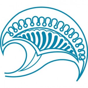 STU13