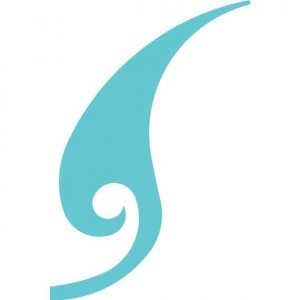 STU3